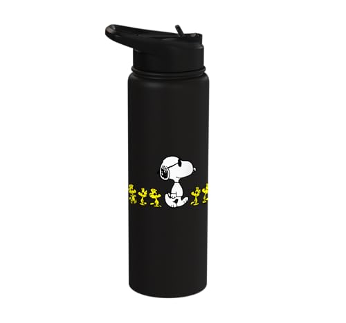 Peanuts Snoopy & Woodstock 30oz Insulated Stainless Steel Water Bottle - Black