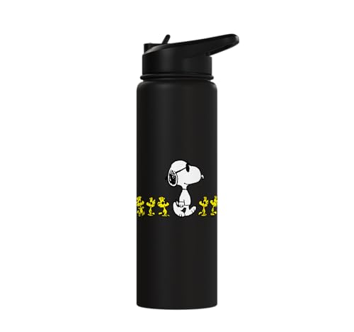 Peanuts Snoopy & Woodstock 30oz Insulated Stainless Steel Water Bottle - Black