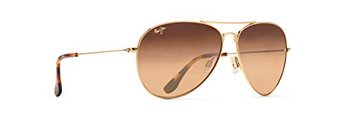 Polarized Teardrop Sunglasses for Men & Women - Gold/HCL Bronze