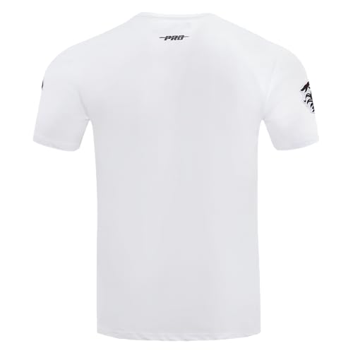 Men's University of South Carolina College Classic Chenille T-Shirt White L