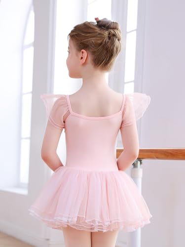 Mecceos Toddler Ballet Leotard for Girls - 4-5T Pink Flutter Wing Sleeve Tutu Skirted Dance Dress