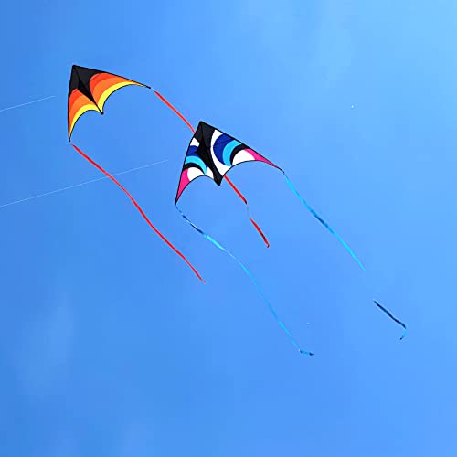 Large Triangle Beach Kite - Easy to Fly for Kids & Adults - Blue/Black