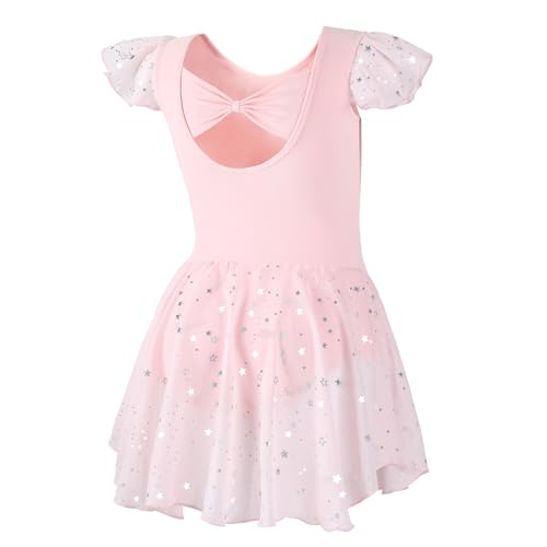 Girls Shiny Ballet Leotard Dress with Ruffle Sleeves - Pink, 4-6 Years