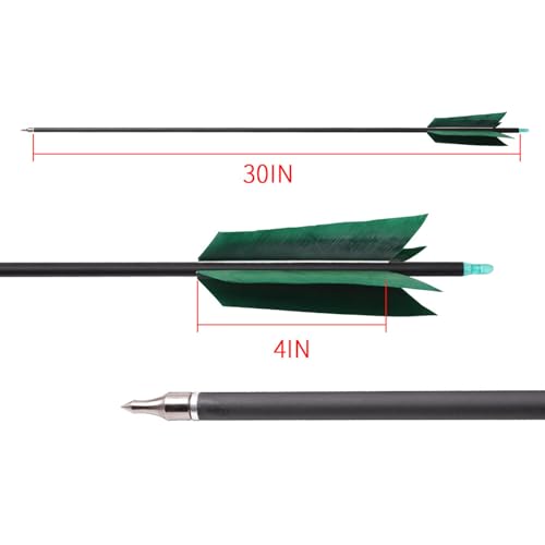 31 Inch Carbon Arrow with Turkey Feathers for Hunting & Target Practice - Spine 500
