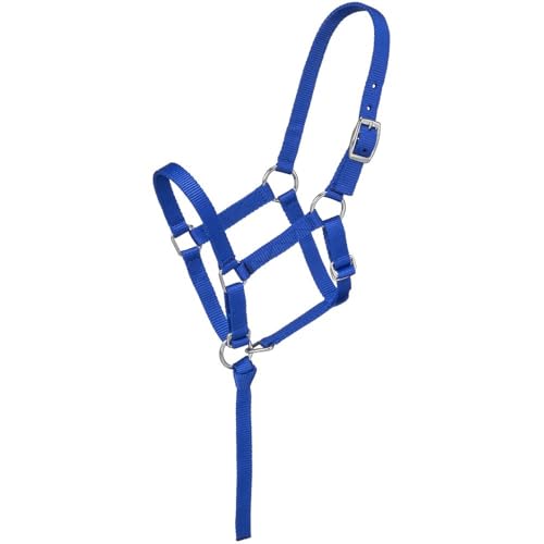 Adjustable Suckling Halter for Young Horses - Royal Blue