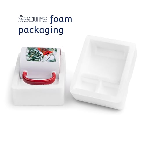 3dRose Cavalier King Charles Spaniel Mug 11-Ounce White Coffee Cup