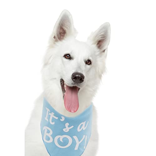 It's a Boy Dog Bandana - Pregnancy Announcement Pet Scarf