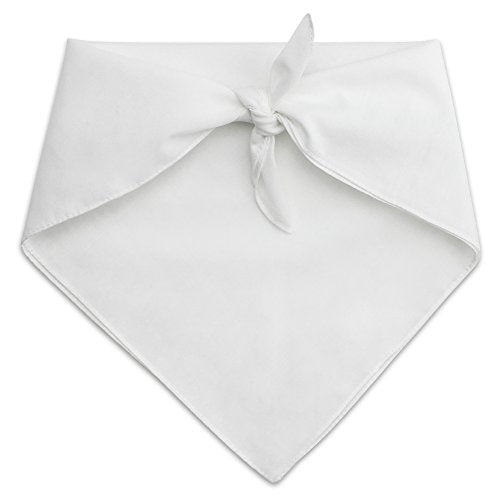 Rustic Texas State Flag Dog Bandana - White