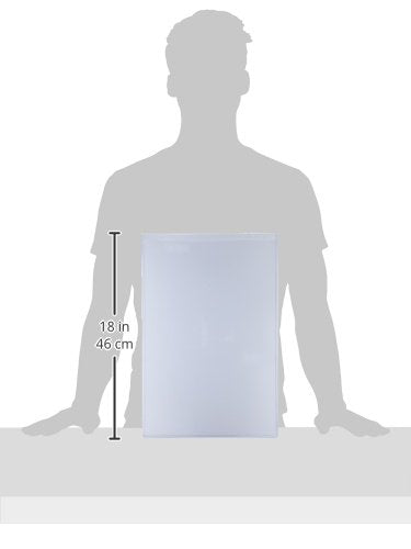 Ultra Pro 11 x 17 Toploaders (10 Pack) for Photos & Collectibles