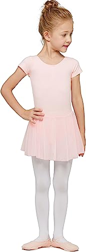 Toddler Ballet Leotard with Skirt - Ballet Pink, 2-4T