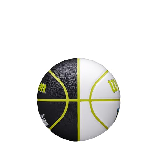 WNBA Mini Autograph Basketball - Dallas Wings - Size 3
