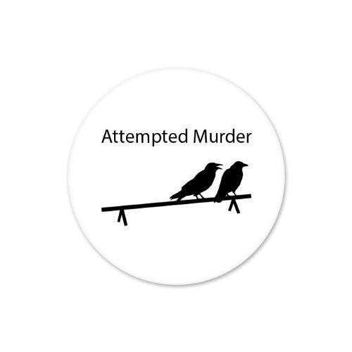 Funny Crows Car Sticker - 4" x 4" Vinyl for Indoor & Outdoor Use
