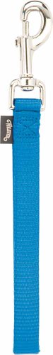 Goat Lead with 8-Inch Loop - Durable Nylon, 10-Inch Length