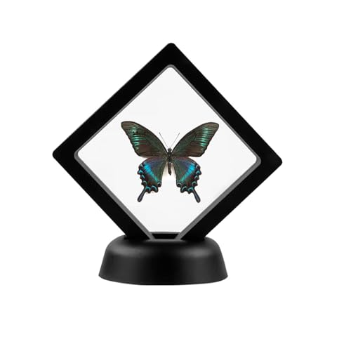 3D Floating Display Case - Challenge Coin & Jewelry Holder (4 PCS)