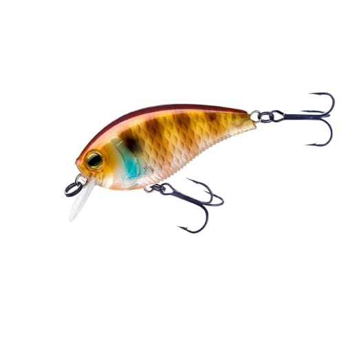 Yo-Zuri 3DB 1.5 Squarebill Crankbait - Natural Bluegill, 2-3/8 Inch