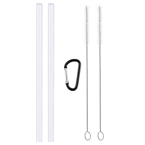 Replacement Straws for Wide Mouth Water Bottles - 6 Pack with Cleaning Brushes