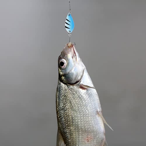 Fishing Spoon Lures Kit - 12pcs Colorful Spinner Hard Baits
