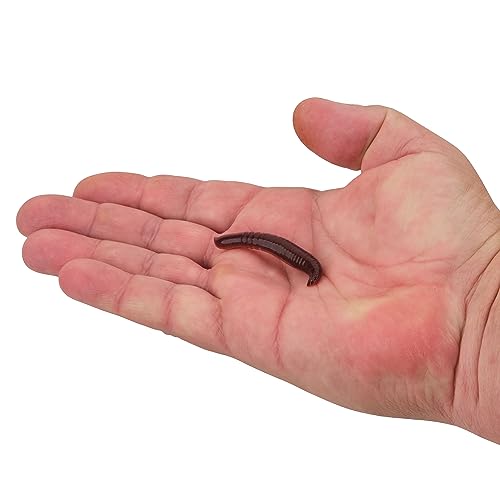 Garlic Scented Pinched Crawler Fishing Soft Bait - 2"