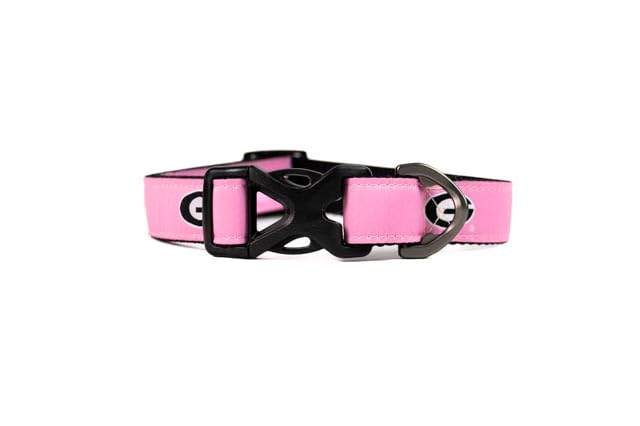 NCAA Georgia Pink Dog Collar - Officially Licensed, Medium Size