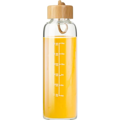 17oz Borosilicate Glass Water Bottle with Lid & Time Marker