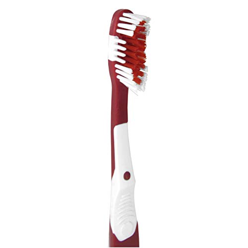 San Francisco 49ers MVP Toothbrush - Red, Soft Bristles & Gum Massagers