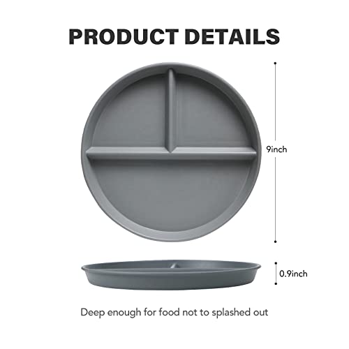 Grey Series 9 Inch Unbreakable Divided Plates - Set of 4, Reusable, BPA-Free