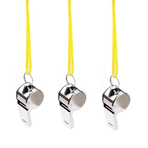 Stainless Steel Whistles with Lanyards - 24 Pack, Loud Sound