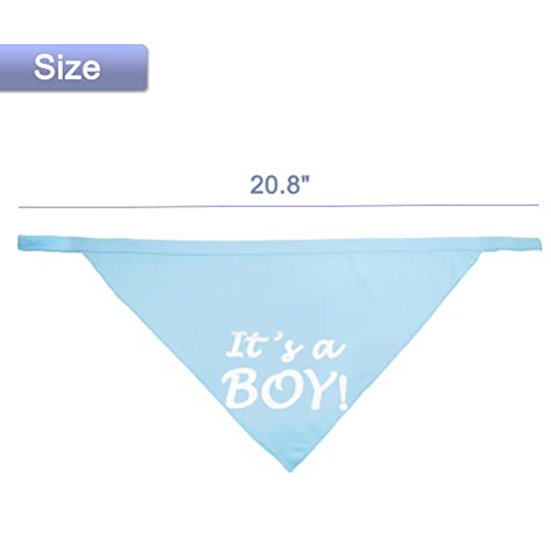 It's a Boy Dog Bandana - Pregnancy Announcement Pet Scarf