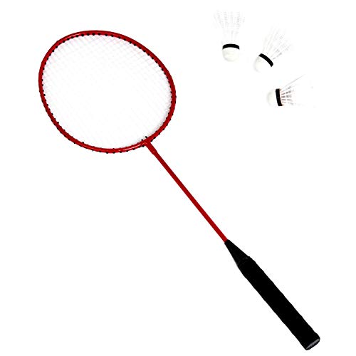 Outdoor Volleyball and Badminton Combo Set with Poles & Carry Bag