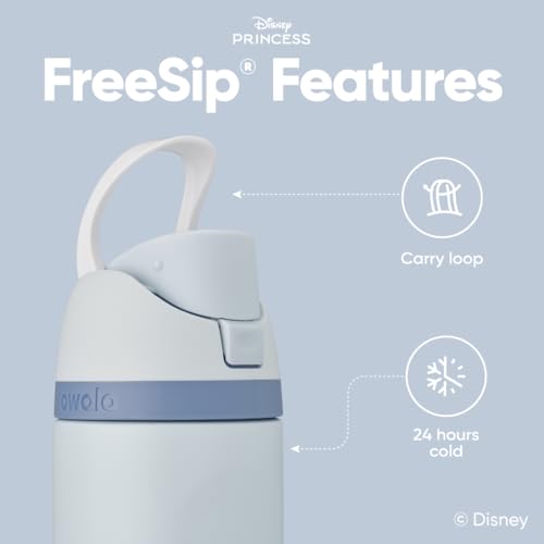 24 oz Insulated Stainless Steel Water Bottle with FreeSip Spout