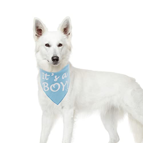 It's a Boy Dog Bandana - Pregnancy Announcement Pet Scarf