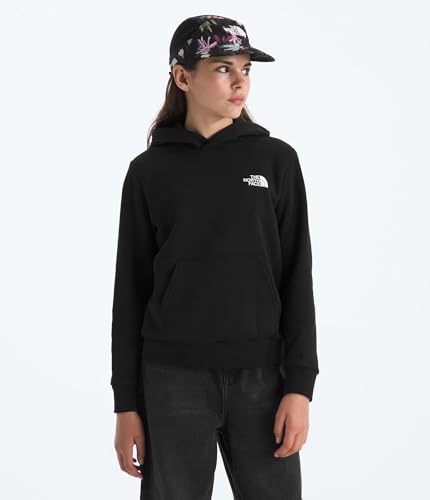 Kids' Logo Box Logo NSE Pullover Hoodie - Large / Tnf Black