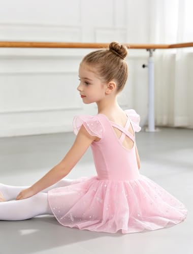 Toddler Girl Ballet Leotard Dress with Shiny Star Skirt - Ballet Pink, 4-6 Years