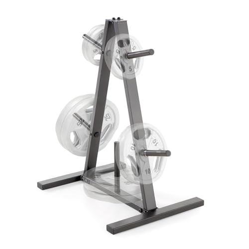 Weight Plate Tree for 1-Inch Plates - 300 lb Max Capacity