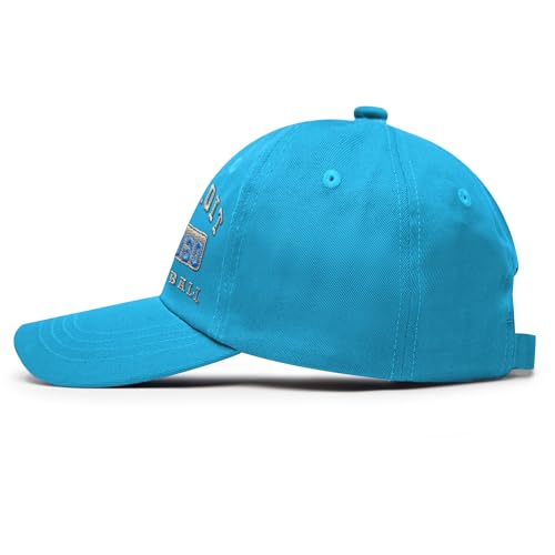 Vintage 3D Embroidered City Baseball Cap - Adjustable Detroit Hat