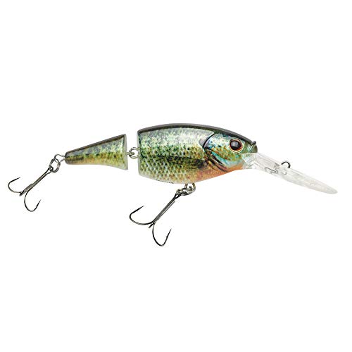 Fishing Crankbait - Berkley Flicker Shad Jointed Lure - HD Bluegill / 2 in - 1/5 oz