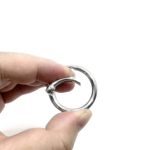 20 Pack 1 Inch Zinc Alloy Carabiner Clips - Silver