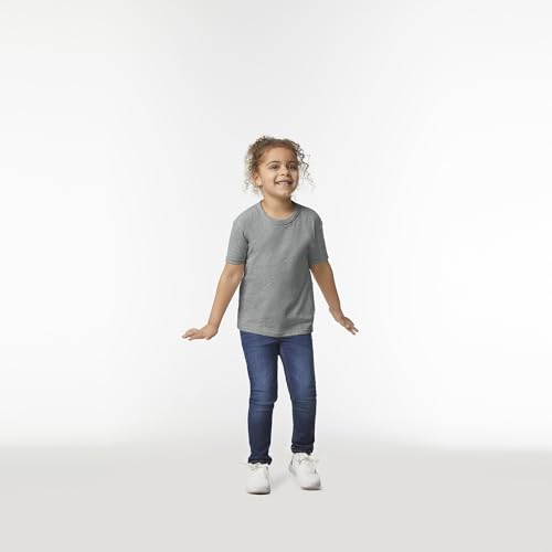 Toddler T-Shirt 2-Pack - 100% Cotton, G5100P, 4T Sport Grey