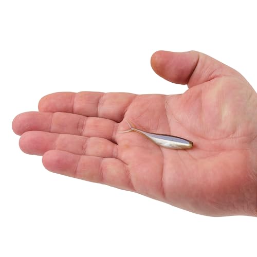 PowerBait The Champ Minnow Fishing Bait - HD Fathead Minnow, 2.5in