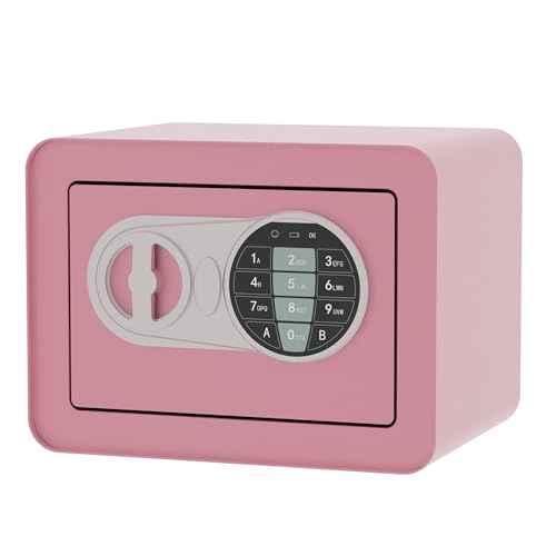 Small Safe Box - Home Safe for Money Jewelry Documents, Solid Lock Box, Mini Security Box with Digital Electronic Security Keypad for Home Office Hotel (Pink)