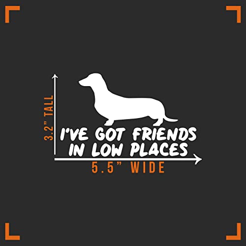 Dachshund Decal Vinyl Sticker - Friends in Low Places - 5.5" x 3"