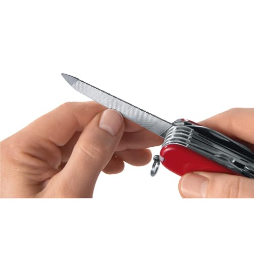 Victorinox Edelweiss Nail Clip 580 Swiss Army Multi-Tool with 8 Functions