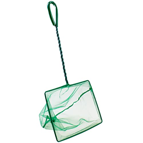 8-Inch Aquarium Fish Net with 10.5-Inch Handle - Fine Nylon Mesh