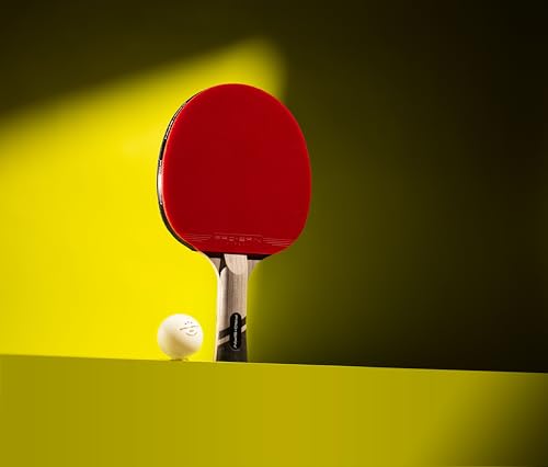 ITTF Approved Carbon Ping Pong Paddles - 2-Pack Active Red