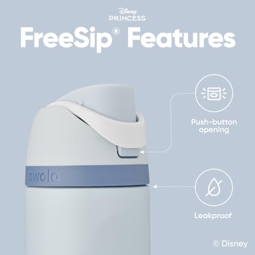 24 oz Insulated Stainless Steel Water Bottle with FreeSip Spout