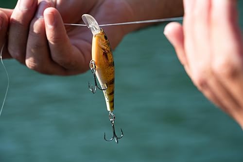Berkley Flicker Shad Freshwater Crankbait - Firetail Chrome Candy, 2 3/4 in