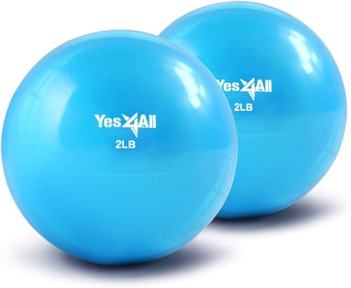 Weighted Toning Balls for Exercise - 2lbs Pair - Blue