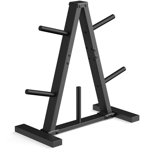Weight Plate Rack - Space-Saving Storage Stand for 1-Inch Plates, Holds 300 lbs