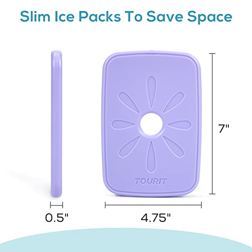Reusable Ice Packs for Coolers - 2 Pack Purple & Pink