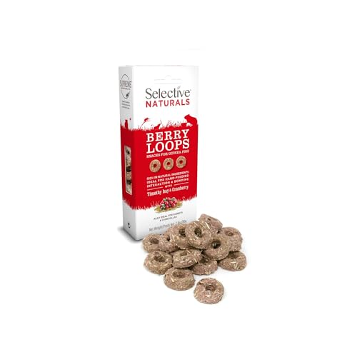 Berry Loops with Timothy Hay & Cranberry for Guinea Pigs - 2.8 oz